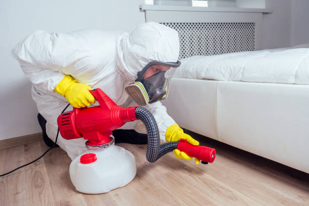 Real Estate Pest Inspections in Windcrest, TX